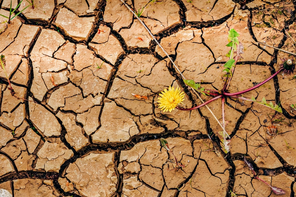 Mercedes-Benz, Bilster Berg, 2019, Driving Events